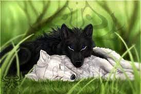 Howl at the rising moon with these anime wolf characters! Black And White Yin An Yang Toothless And Light Fury Cartoon Wolf Anime Wolf Girl Anime Wolf