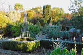 Why rare plants for your garden? Discover The Secret Gardens Of West Sussex Experience West Sussex