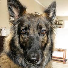 Happy Birthday Dad!! 🎈 I lub you so...