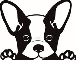 Pin By Seda Brzn On Honden Mickey Mouse Art Art Sketches Doodles Animal Templates