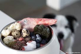 The goal of managing diabetes is to maintain glucose in an acceptable range while avoiding hypoglycemia (low blood sugar) and its. Homemade Raw Dog Food A Complete And Balanced Raw Diet For Your Dog
