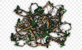 For example, cat's claw is a twining, thorny vine that will wrap itself. Thorns Spines And Prickles Vine Tree Rose Root Png 648x504px Thorns Spines And Prickles Cartography Computer