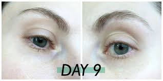 How long does it take for eyebrows to grow back? I Tried To Regrow My Eyebrows With Castor Oil Revelist