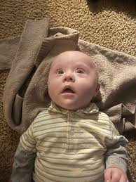 This is our boy Waylon. He is three years old and totally blind. But he has  learned to navigate our entire farm with no trouble. Waylon loves to swim  especially