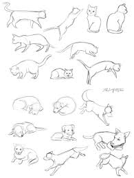 Cougar waiting to pounce drawing. Cat And Dog Sketches By Kristaia On Deviantart