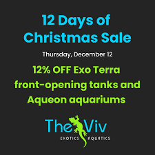 Free central american wood turtle. No habitat included. No fees. Great  Falls.