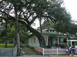 Augustines oldest and most famous love tree uniting couples for well over a hundred years.it is all about matters of the heart! 8 Lesser Known Things To Do In Saint Augustine Florida