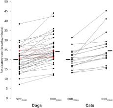 To calculate your pet's respiratory rate, do the same thing but count the number of full. Sleeping And Resting Respiratory Rates In Dogs And Cats With Medically Controlled Left Sided Congestive Heart Failure Sciencedirect