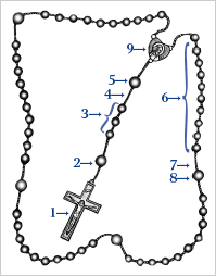 Traditionally, they are offered to increase the faith, hope, and love of those who pray the rosary, and for the intentions of the holy father, the pope. How To Pray The Rosary Marians Of The Immaculate Conception