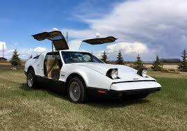 Image result for Safety White 1975 Bricklin