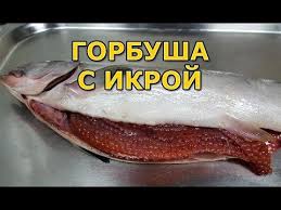 как засолить икру горбуши в домашних условиях вкусно и быстро Kupil Gorbushu S Ikroj Kak Zasolit Ikru Youtube