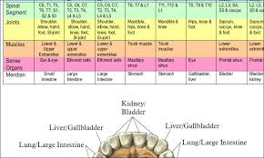 37 Unusual Chinese Medicine Tooth Chart