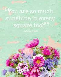 The flower that blooms in adversity i the rarest and most beautiful of all. Absolutely Beautiful Quotes About Summer Summer Quotes Flower Quotes Beautiful Quotes