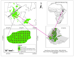 Image result for Monothecium glandulosum