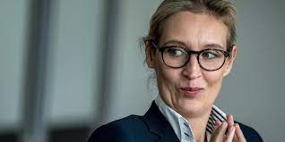 „meine schweizer partnerin arbeitet in der. Gefluchtete Arbeitete Fur Afd Politikerin Schwarzarbeit Im Weidel Haushalt Taz De