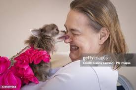 143 Collingham Stock Photos, High-Res Pictures, and Images