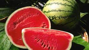 Kandungan antioksidan di dalam buah ini dapat menurunkan kadar gula darah serta menekan kolesterol. Buah Yang Cocok Untuk Penderita Diabetes Apa Saja Buah Yang Bisa Menurunkan Gula Darah Tribun Pontianak