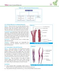 Muscular tissue in hindi (easy way) ncert/ neet. Textbook For Biology Class 9 Clone Pages 51 100 Flip Pdf Download Fliphtml5