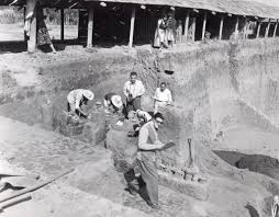 Image result for Blue Inca 2008 147