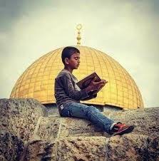 صور ملف شخصي بحث Google Palestine Palestine History Palestine Art