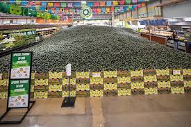 Image result for Avocado HiLite 1983 Crown