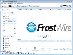 Frostwire is the service, as well as the very same could be claimed if you're seeking a program to download films, records or programs. Best Vpn For Frostwire