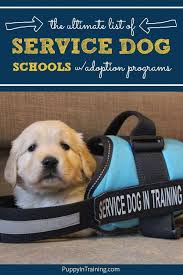 Take The Quiz Screened How To Train Your Dogs Service Dogs Breeds Dog School Service Dog Training