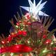 Wyandotte Tree Lighting event in Wyandotte, MI
