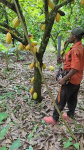 le boss 🤗🥰🥰💪