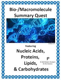 Pin On Biology Lessons And Activities