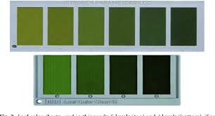 Figure 3 From Android Based Rice Leaf Color Analyzer For