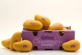 Collection by ciruli brothers, llc. The Mango That Has Grown In Popularity In Recent Years Is The Champagne Mango A Premium Pack Of The Ataulfo Variety This M Fruit Mangoes Raw Food Recipes