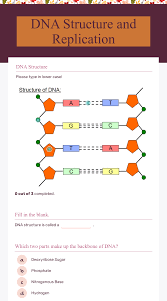 Why is dna called a double helix? Dna Structure And Replication Interactive Worksheet By Latarsha Walton Wizer Me