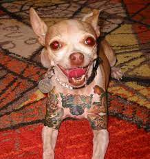 Dog tattoo managed to capture owner's love and admiration. 4 Year Anniversary Since New York Bans Pet Tattooing Tattoo Ideas Artists And Models