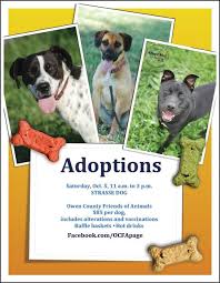 Weekend wags adoptable dog meet and greet. Dog Adoption Event In Mainstrasse Covington Ky Cincinnati Area Saturday Oct 5 11 3 Please Swing By And Say Hello T Dog Adoption Event Dogs Dog Adoption