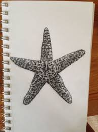 If you want to copy any of the turtle, tortoises or terrapin drawings in this article, feel free to follow the steps. Realistic Sea Star Realistic Starfish Drawing Novocom Top