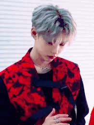 ☾ Silvermoon Pack ☾ — The Pack