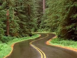 Browse all wallpapers tagget with this tag: 15 Beautiful Nature Green Road Wallpaper Basty Wallpaper