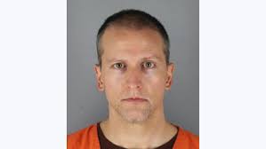 Stuart's son theo, then nine years old, turned to his father and said: Derek Chauvin Cop Accused In George Floyd S Death Released From Jail