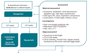 Image result for Mild PIH Management