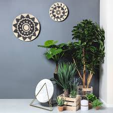 100 % nuevo y de alta calidad, el decorar su hogar u oficina con plantas artificiales es casi una necesidad. Plantas Artificiales Exoticas Para Decoracion De Interiores