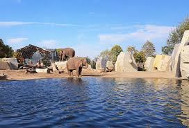 Artis ligt in de plantagebuurt. Amsterdam Travel Visiting Artis Amsterdam Royal Zoo As The Bird Flies Travel Writing And Other Journeys