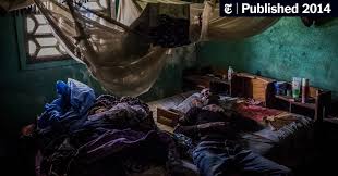 Ebola 2 is created in the spirit of the great classics of survival horrors. Ebola 2 Pc Game Ebola 2 Torrent Download For Pc In This Method First You Have To Install The Game Using Setup