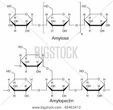 Pure starch is a white, tasteless and odorless powder. Structural Components Vector Photo Free Trial Bigstock
