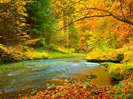 Leonora galloway entreprend un voyage en france avec sa fille penelope. Paysage D Automne Feuilles Colorees Sur Les Arbres Matin A La Riviere Apres La Pluie Automne Feuilles Colorees Riviere De La Foret Riviere Du Matin D Automne Nature Automnale Banque D Images Et Photos Libres
