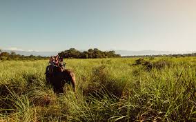 Is troika riding available as a tourist experience in ukraine? Camel Riding Is It Ethical And What Is A Trekking Expedition Like