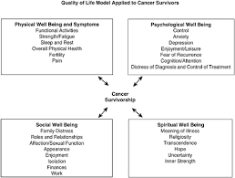 Different types of cells in the body do different jobs. 3 The Medical And Psychological Concerns Of Cancer Survivors After Treatment From Cancer Patient To Cancer Survivor Lost In Transition The National Academies Press