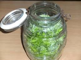 Gesundheit Tannwipfel Sirup Rezept Mit Bild Rezept Sirup Rezepte Hausgemachte Lebensmittelgeschenke Hustensirup