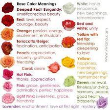 Dreams about flowers usually fall into the positive dreams category, but sometimes, dreams about flowers can have a negative meaning. Pin By Diana Oskov On Floral Dreams Rose Color Meanings Flower Meanings Color Meanings