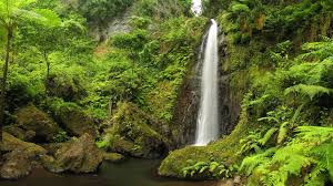 We did not find results for: Vanuatu Ursprungliches Paradis 16 Tage Privatreise Iguana Reisen